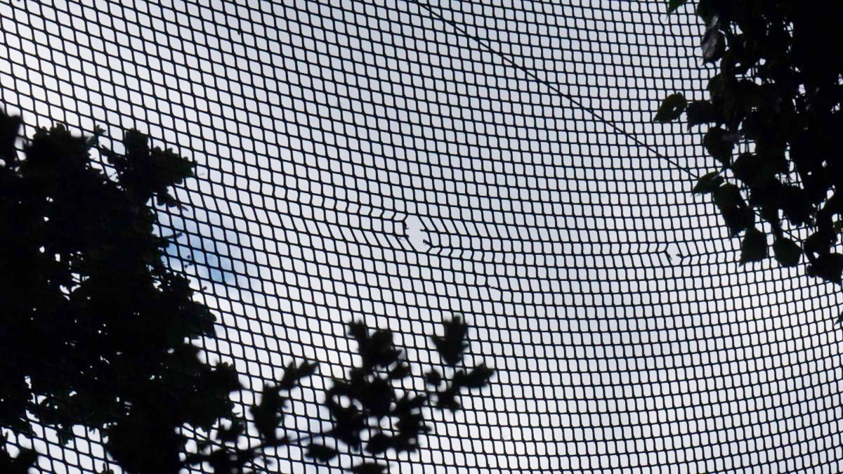 Fotos des Netzes rund um den Platz zeigen, dass es mehrere große Löcher aufweist