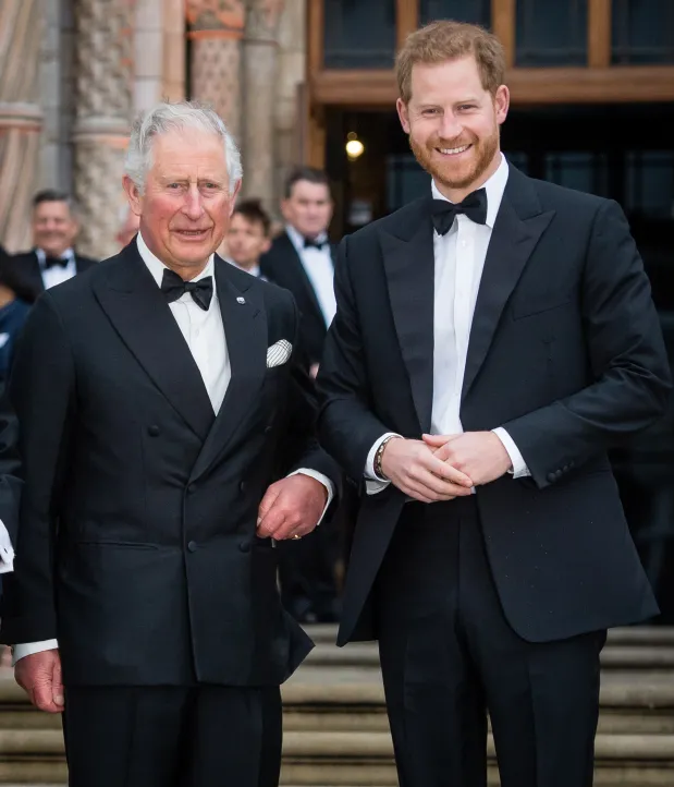 Es wird erwartet, dass Prinz Harry ein zweites Wiedersehen mit König Charles hat