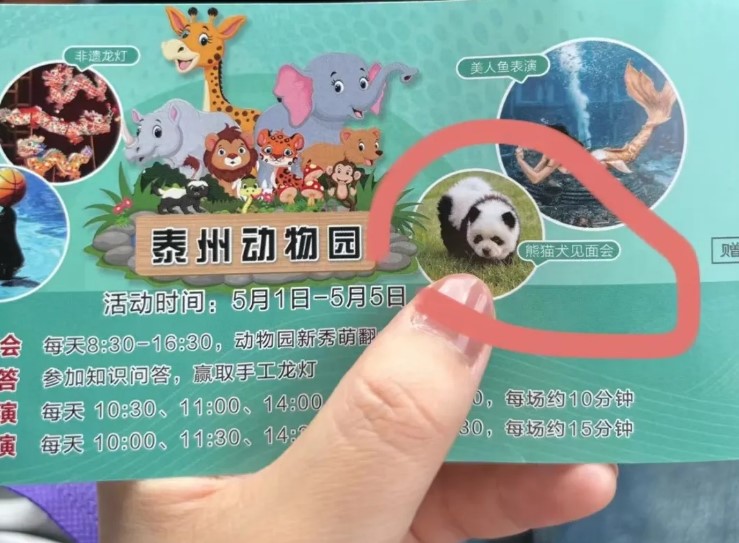 Dieses Bild zeigt die Eintrittskarte für den Zoo mit einem Bild des „Panda-Hundes“