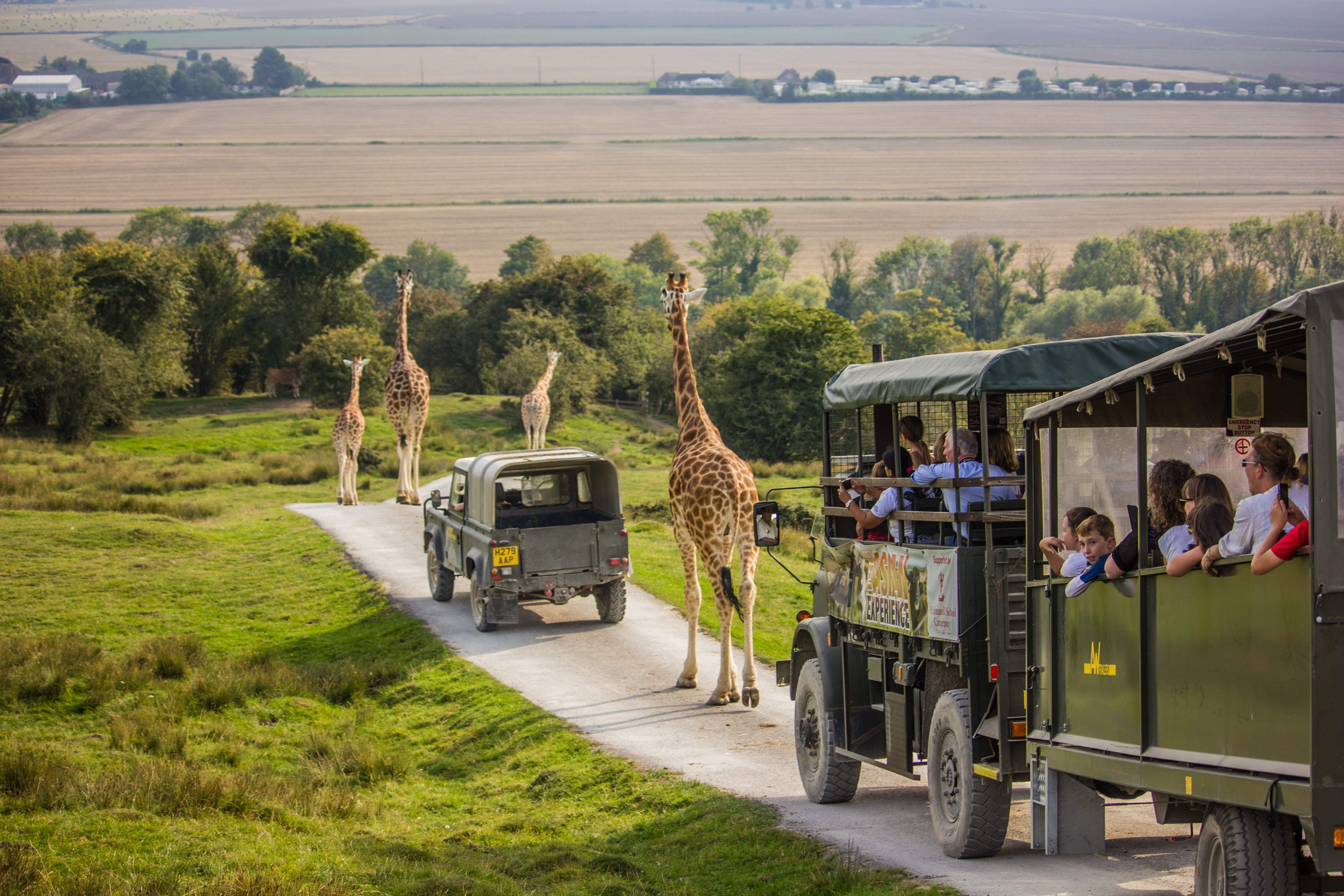 Erleben Sie frei herumlaufende Giraffen, Zebras und Kamele aus nächster Nähe bei einem zweitägigen Aufenthalt im Port Lympne Hotel and Reserve in Kent